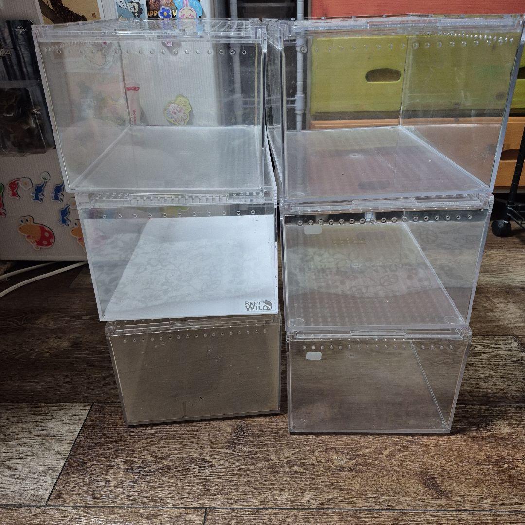 中古レプタイルボックス6個セット