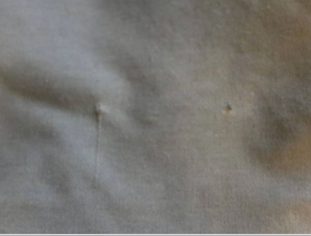 【極上品】実物アメリカ軍パップテント米軍払い下げ品ポール付US