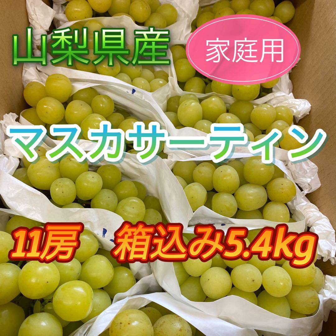 山梨県産　訳あり　家庭用　マスカサーティン　11房　箱込み5.4kg ③