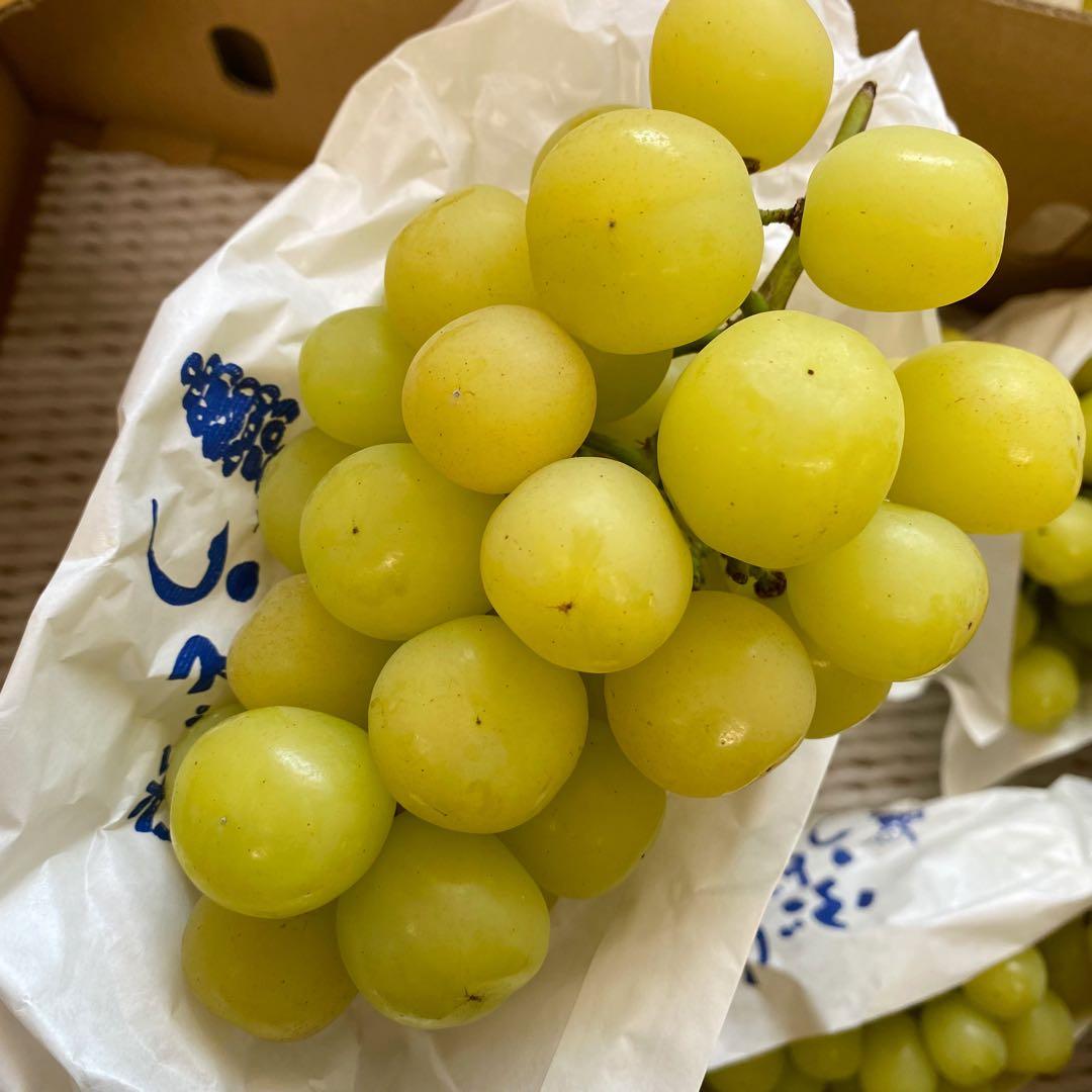 山梨県産　訳あり　家庭用　マスカサーティン　11房　箱込み5.4kg ③