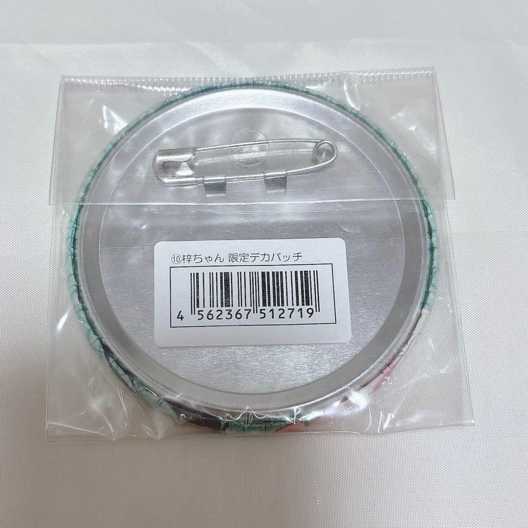 けいおん デカバッジ デカバッチ TBSストア 中野梓 缶バッジ メガネ