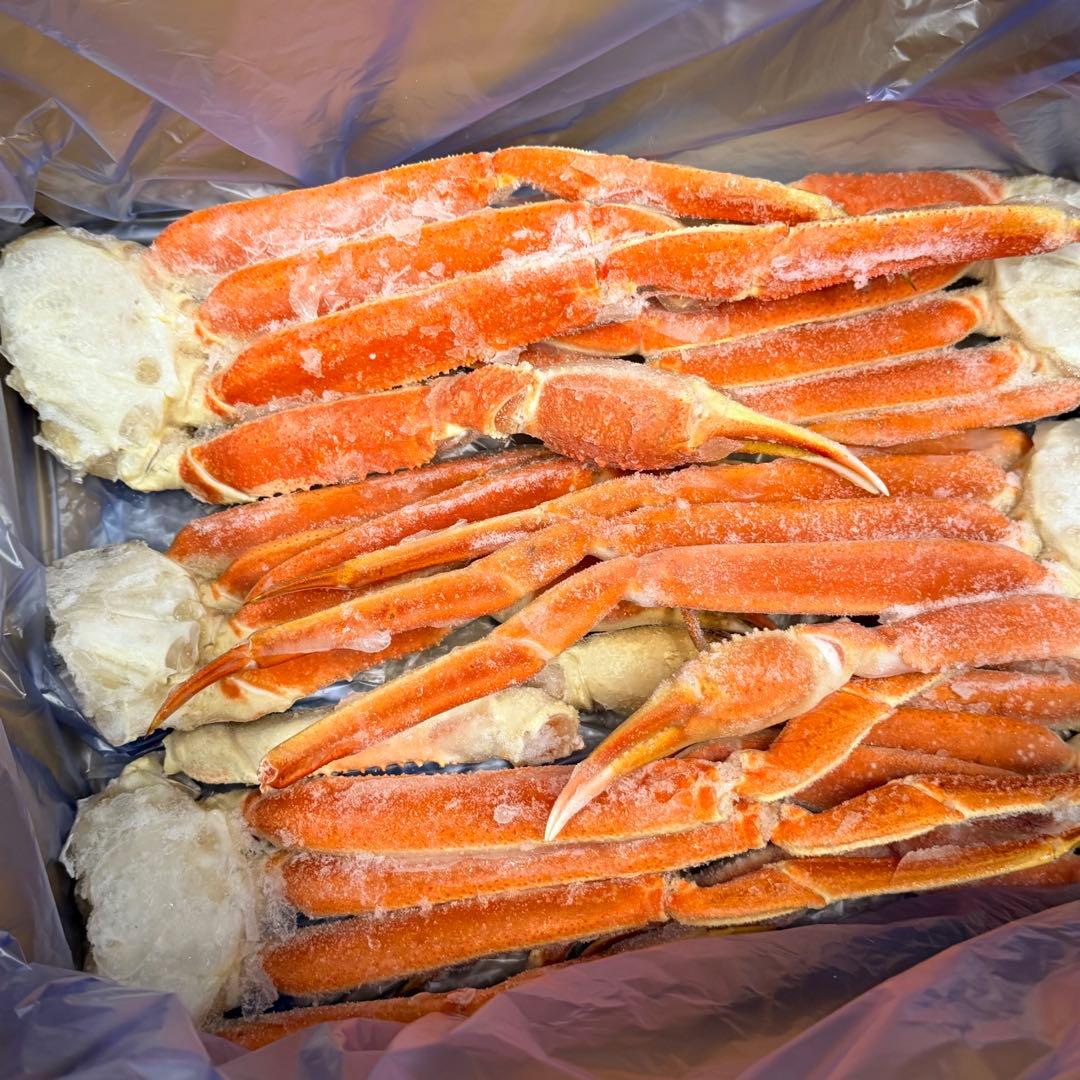 【12月30日午前到着希望】ゆうり 1.5kg