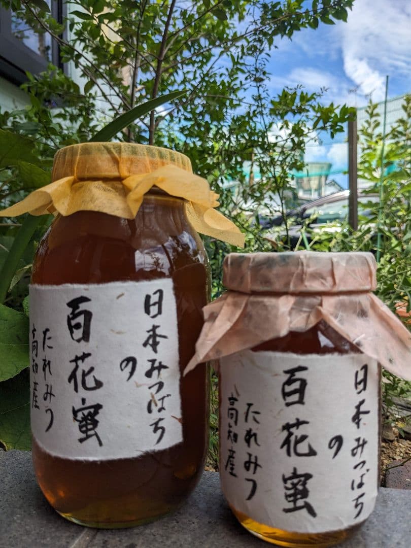 日本ミツバチ 蜂蜜 令和7年 採れたて 600g×2本 たれ蜜 非加熱