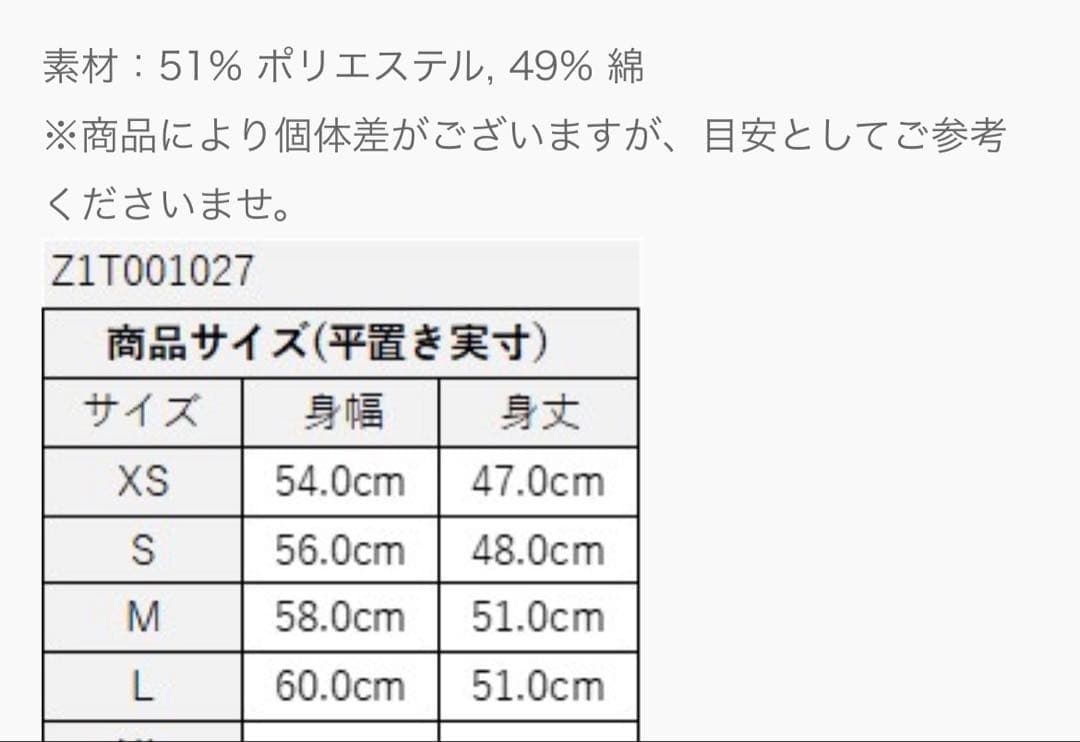 ZUMBA TシャツXS パンツS