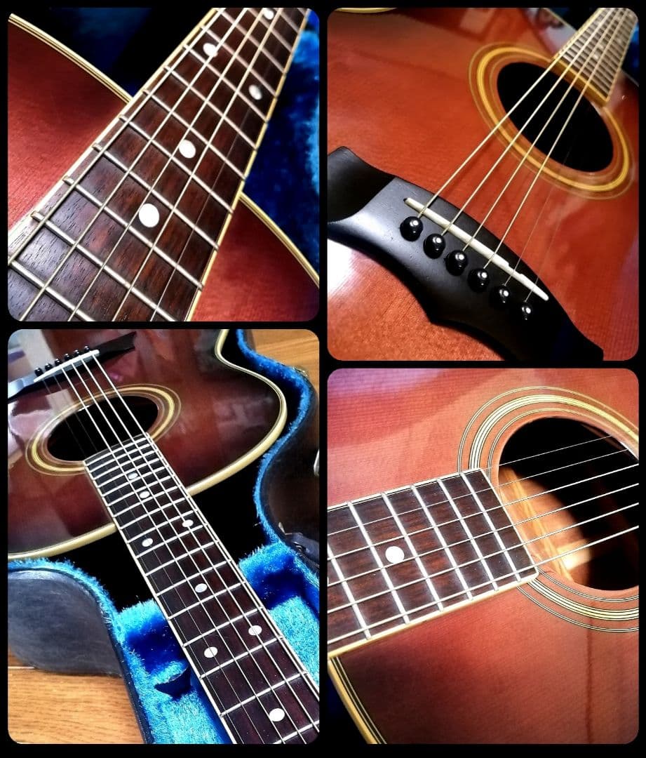 ★縦ロゴ★Gibsonモデル★MORRIS MG-30