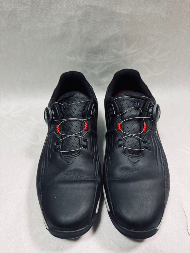 ブリヂストン ゼロ・スパイク バイターライト 28 BOA