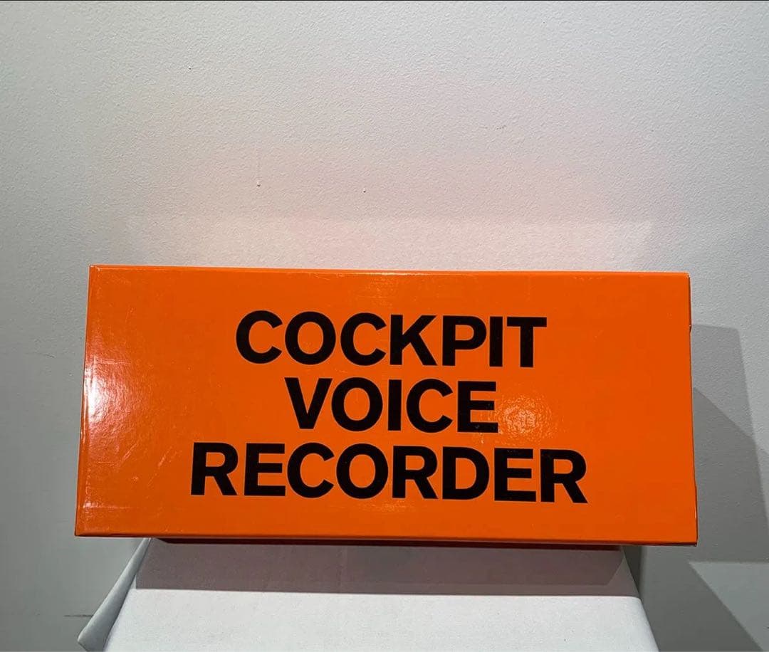 ルイ・ヴィトン(非売品) 組み立て式飛行機模型