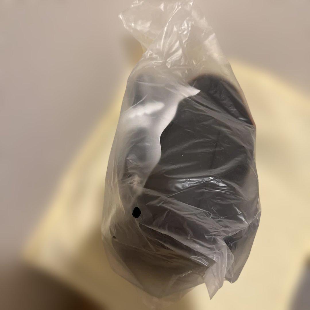 【新品未開封】ときメモGS 桜井琥一 モデル リュック