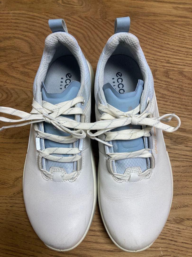 ECCO エコー ゴアテックス ゴルフシューズ Gore-Tex