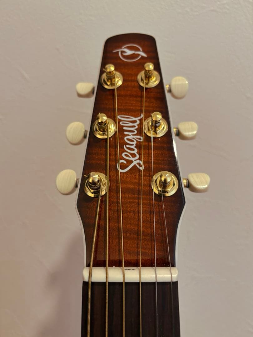 Seagull エレアコ サンバースト