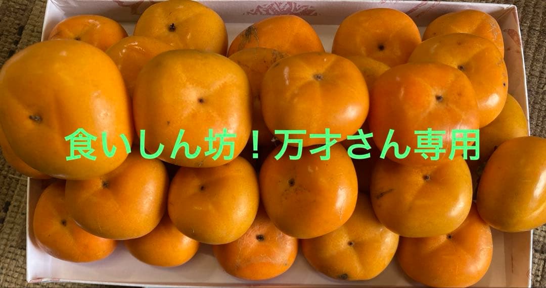 ベビーパーシモン　訳あり　5キロ