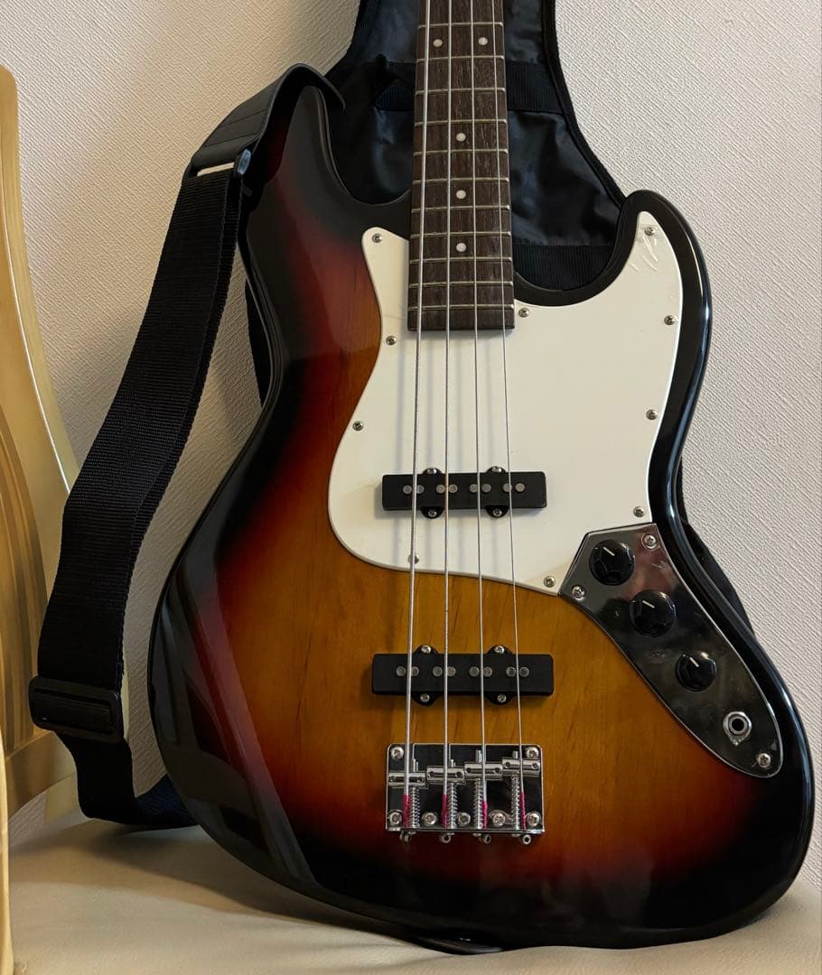 【美品】SX STANDARD SERIES CUSTOM HANDMADE