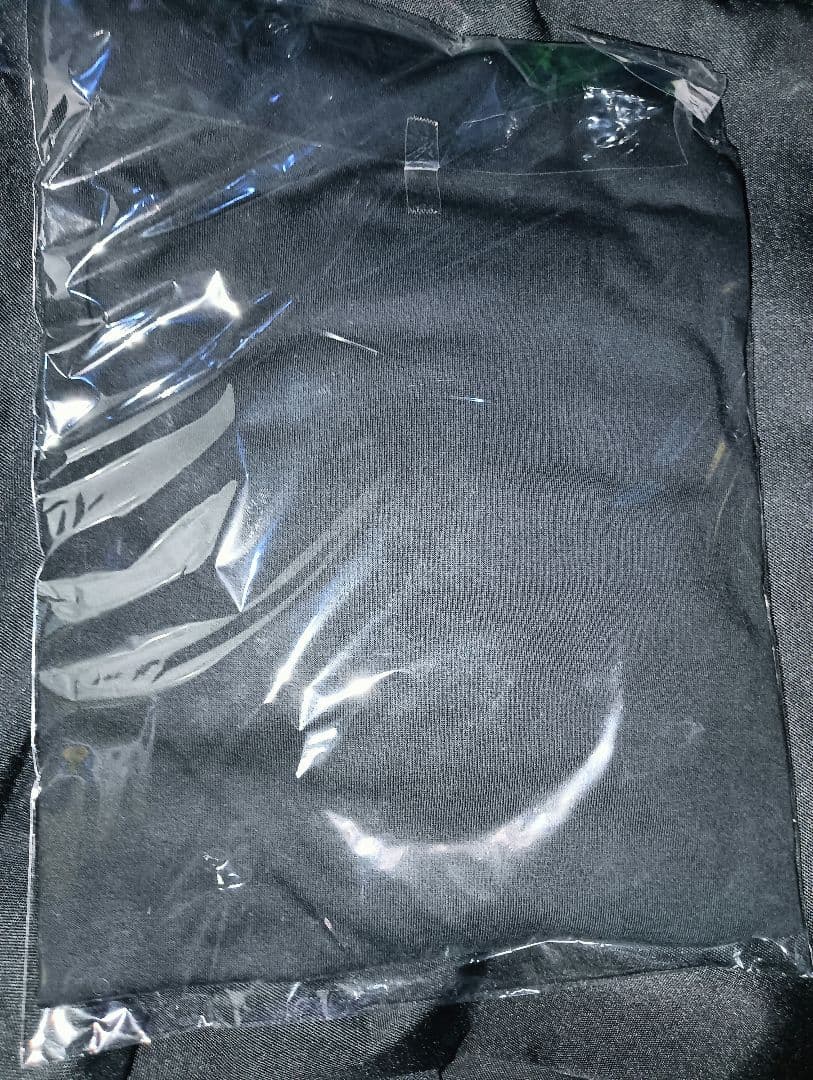 BLARE FEST 2026 ロンT4 XXL ブレアフェス coldrain