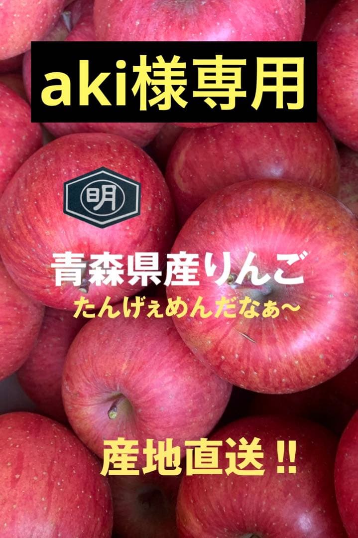 青森県産りんご【サンふじ】111.112家庭用5kg（18〜20個入）✖️2箱