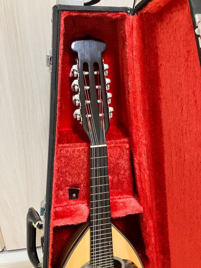 石川捷二郎監修 Venezia マンドリン M-50 木曽鈴木バイオリン社