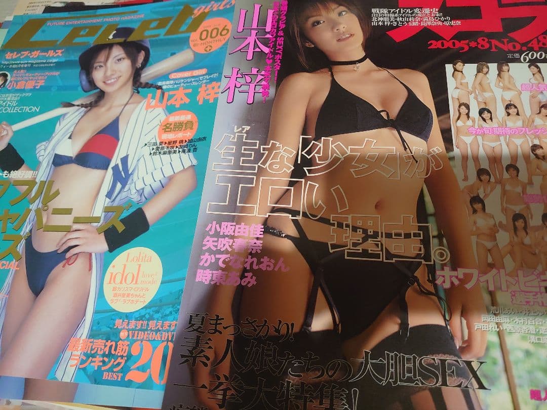 【大量】グラビアアイドル・山本梓さん 雑誌切り抜き