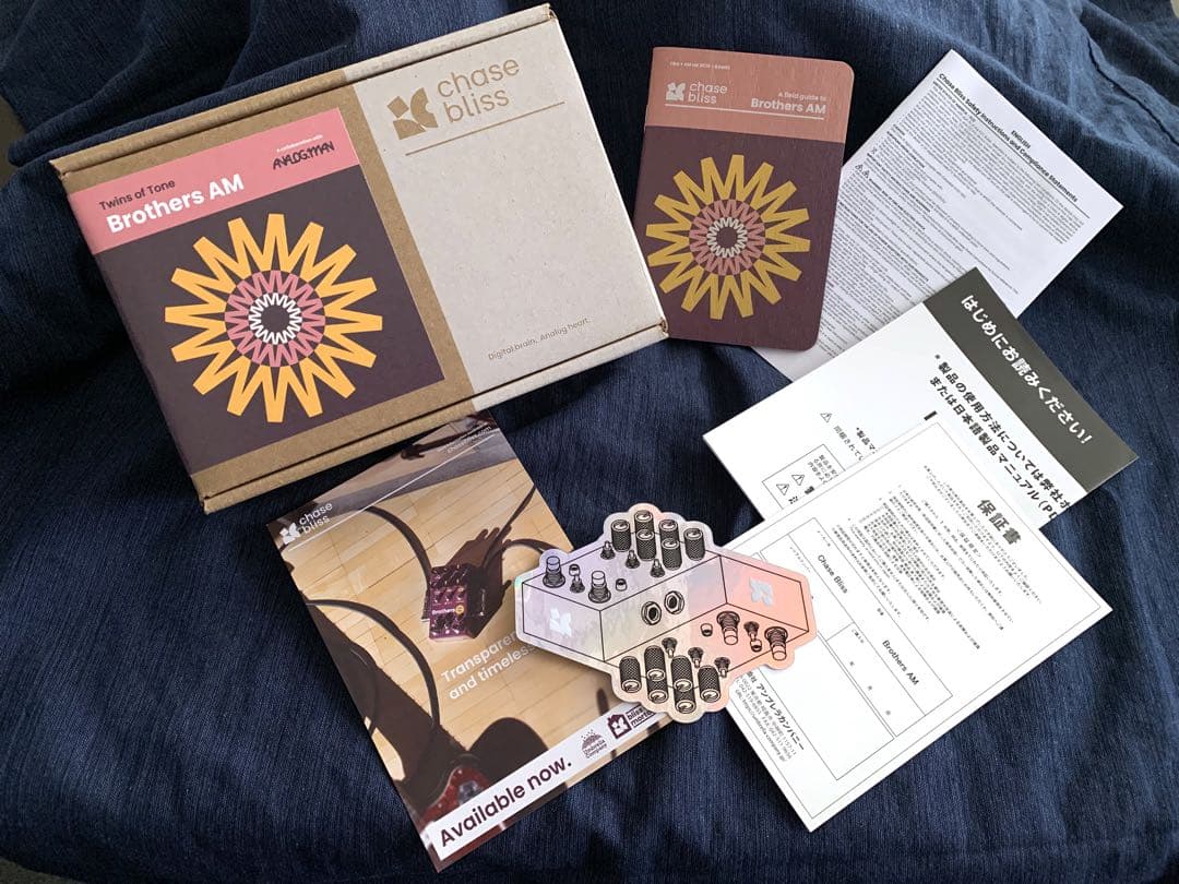 ギター Chase Bliss Audio Brothers AM