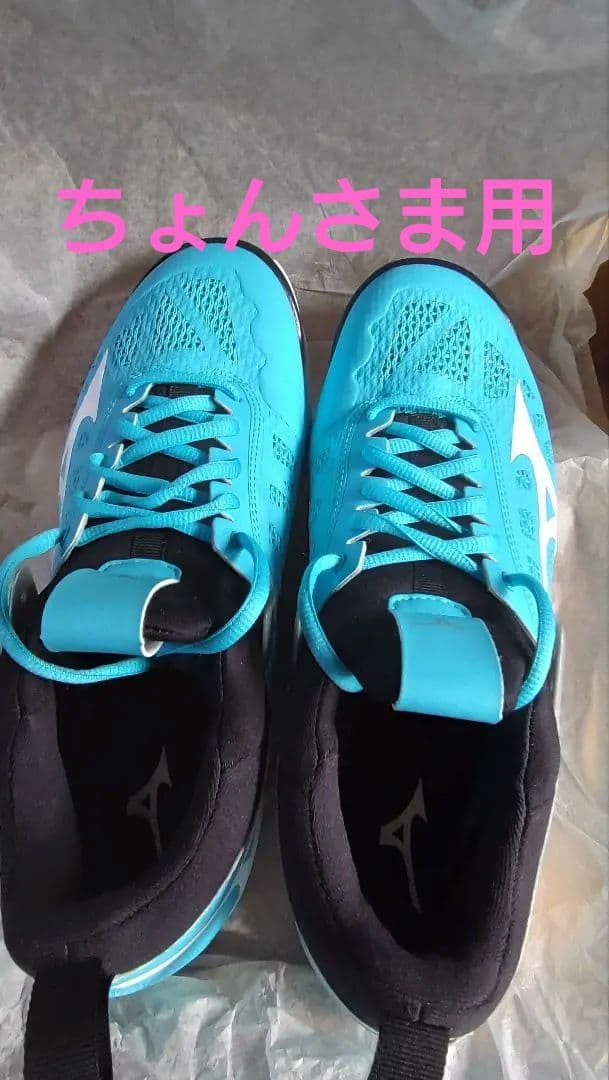 Mizuno バレーボールシューズ 青