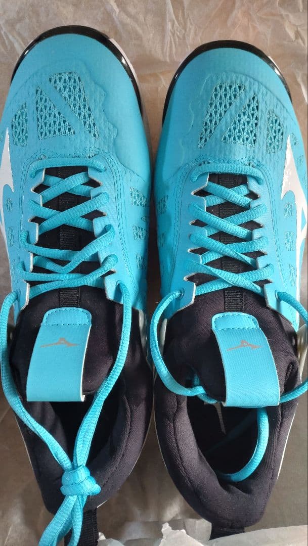 Mizuno バレーボールシューズ 青