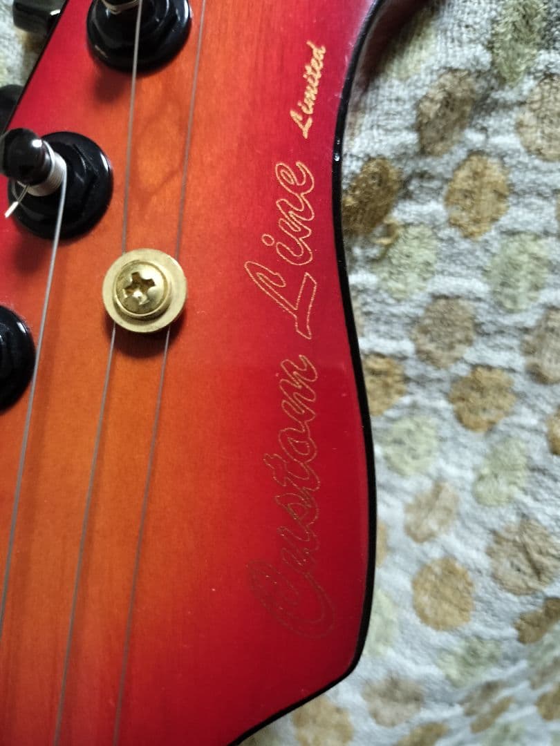 VALLEY ARTS Custom Line Limited Mシリーズ