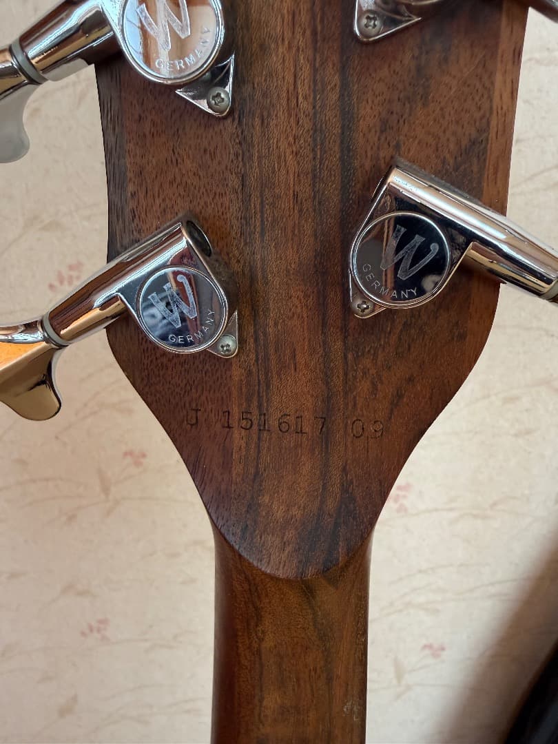 warwick streamer LX　2009ドイツ製