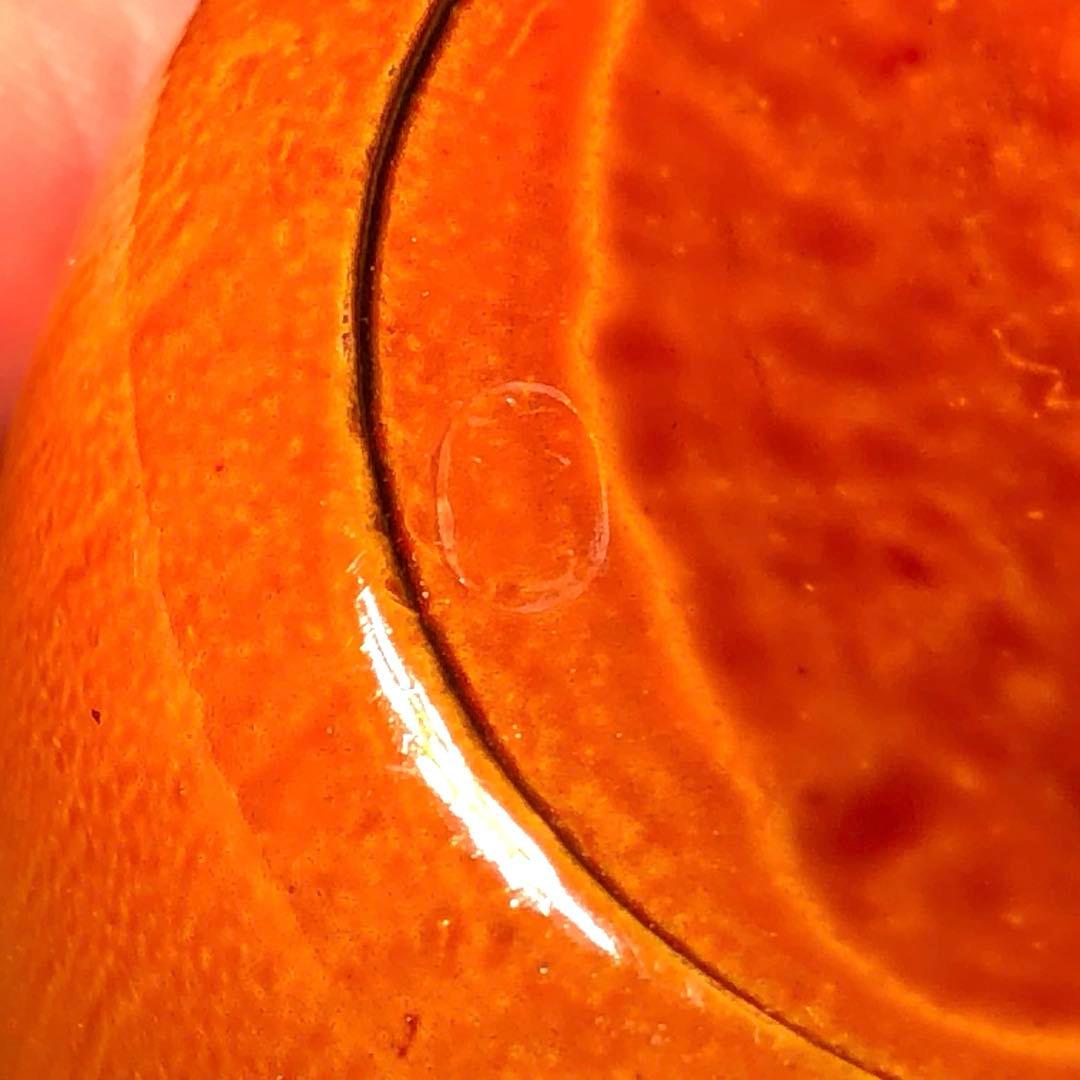 【茶道具】黒田宗傳作　竹溜中棗　尋牛斎宗匠在判