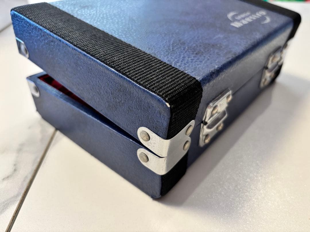 ライリッシュ マエストロ　オカリナ SF管　艶あり ケース付　クリーニング済