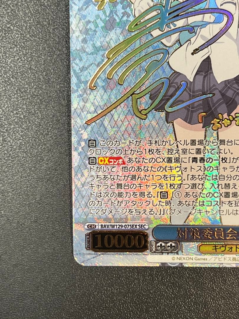 対策委員会シロコ SEC 箔押しサイン付き