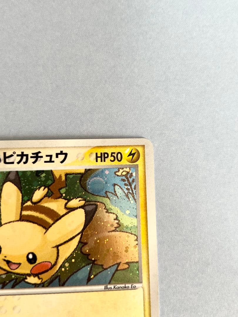 ポケパークのピカチュウ ポケパークプレミアムファイル 004/009