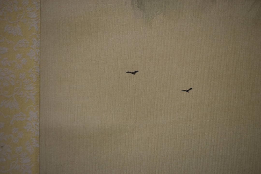 真作/文涛/山水画賛/夏山滴翠/布袋屋掛軸HJ-636