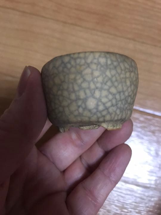 盆栽鉢　ミニ盆栽鉢豆盆栽鉢光山4個小さい盆栽鉢山野草多肉植物絵付鉢貫入氷裂鉢