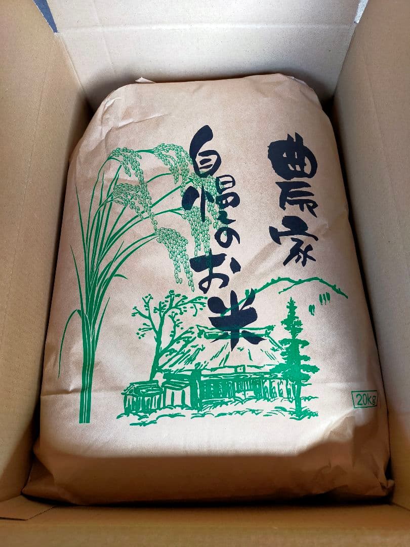農家直送　20キロ　玄米　令和7年産コシヒカリ③