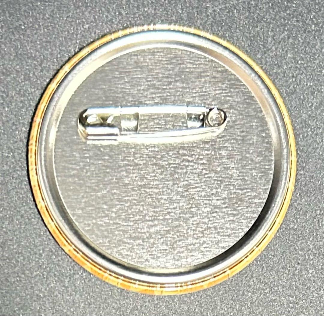 ギヴン given 缶バッジ 10種 TOWER RECORDS タワレコ