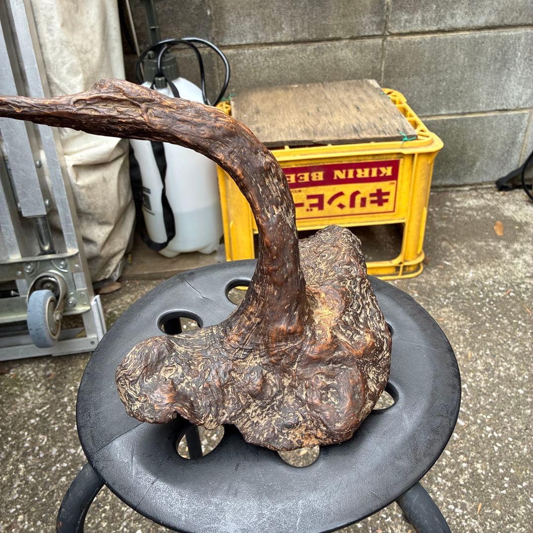 縁起物 ビンテージ木製置物 自然