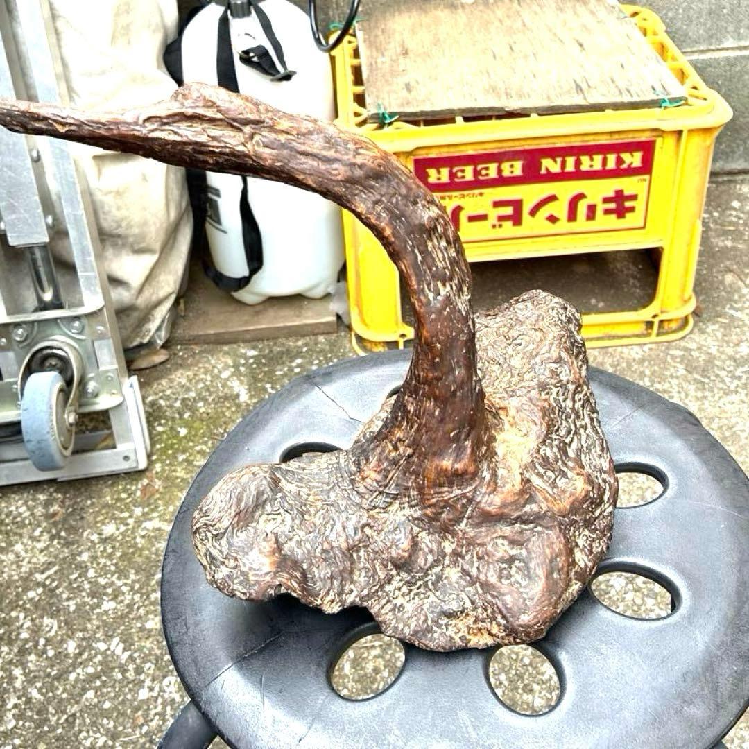 縁起物 ビンテージ木製置物 自然