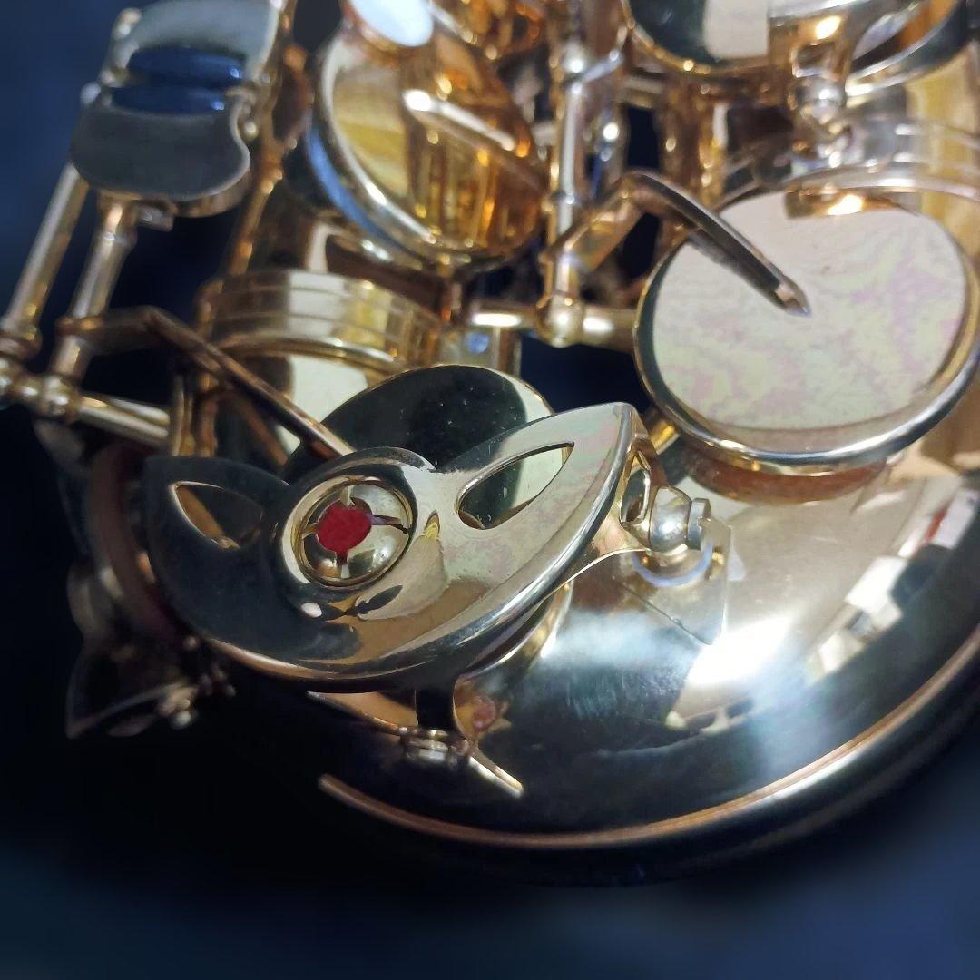 【美品】SELVA アルトサックス　初心者　SAS-100K サクソフォーン