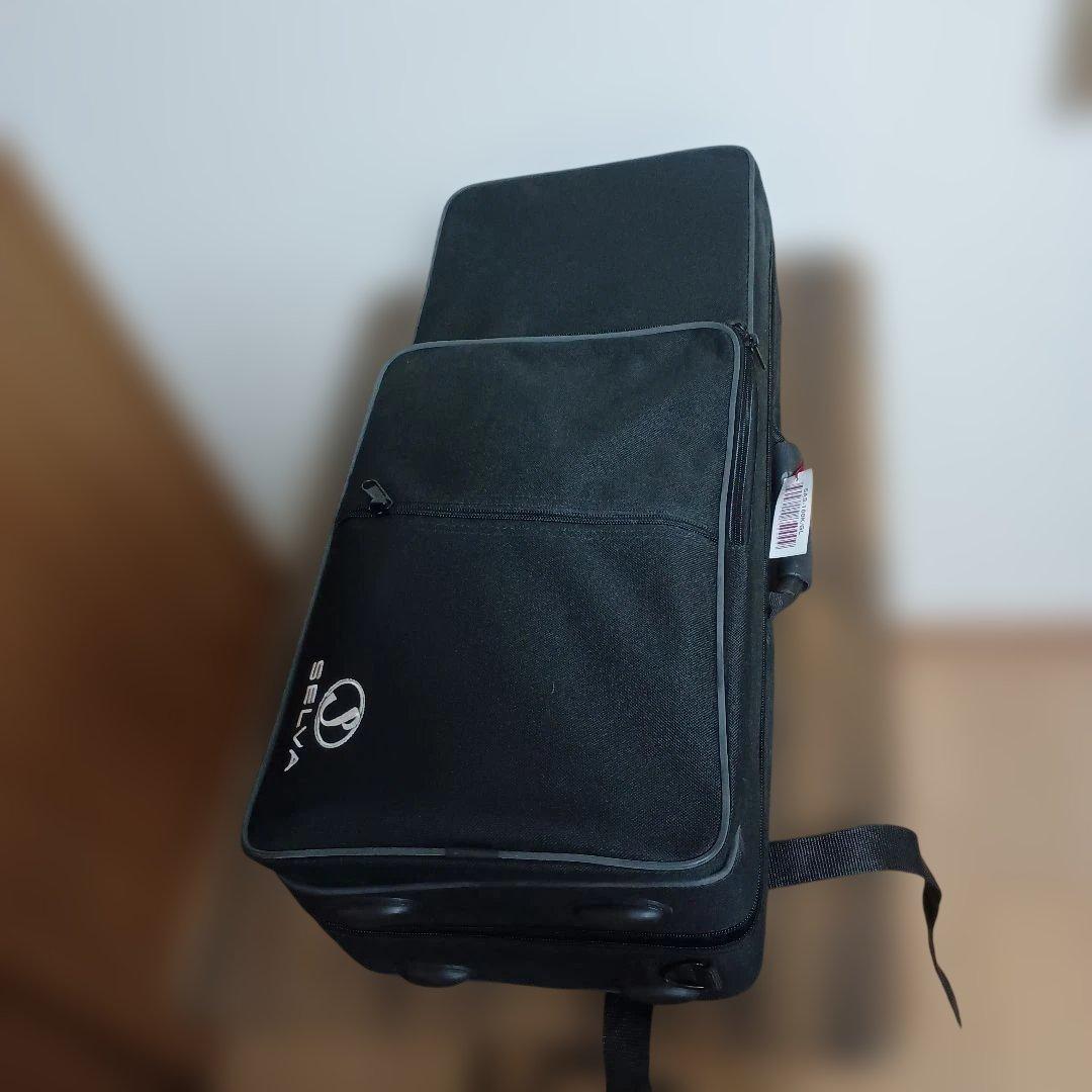 【美品】SELVA アルトサックス　初心者　SAS-100K サクソフォーン