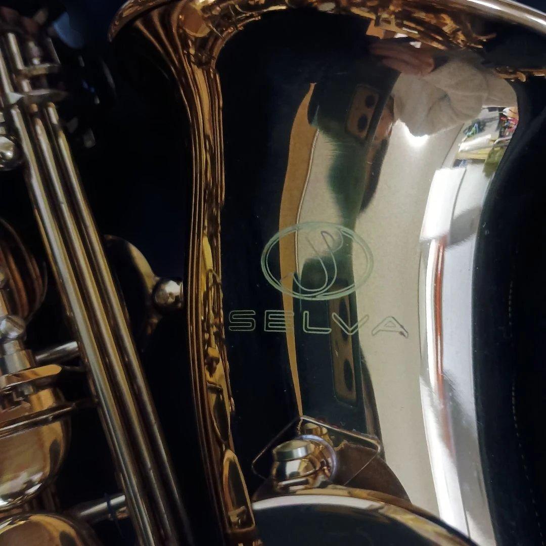 【美品】SELVA アルトサックス　初心者　SAS-100K サクソフォーン
