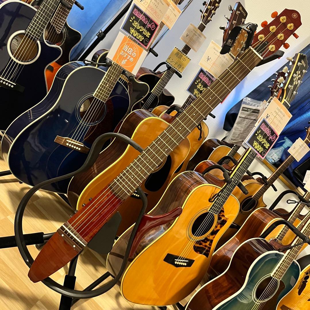 【11178】限定モデル YAMAHA SLG110S fm rtb