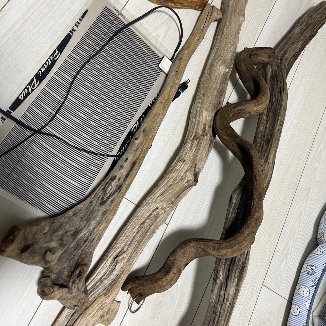 【引き取り限定】グラステラリウム 9060