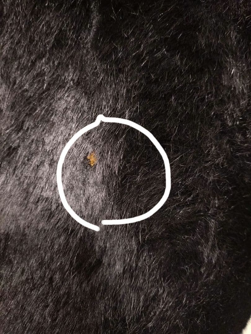 ぬいぐるみ　黒猫　ネコ　昭和レトロ　セット