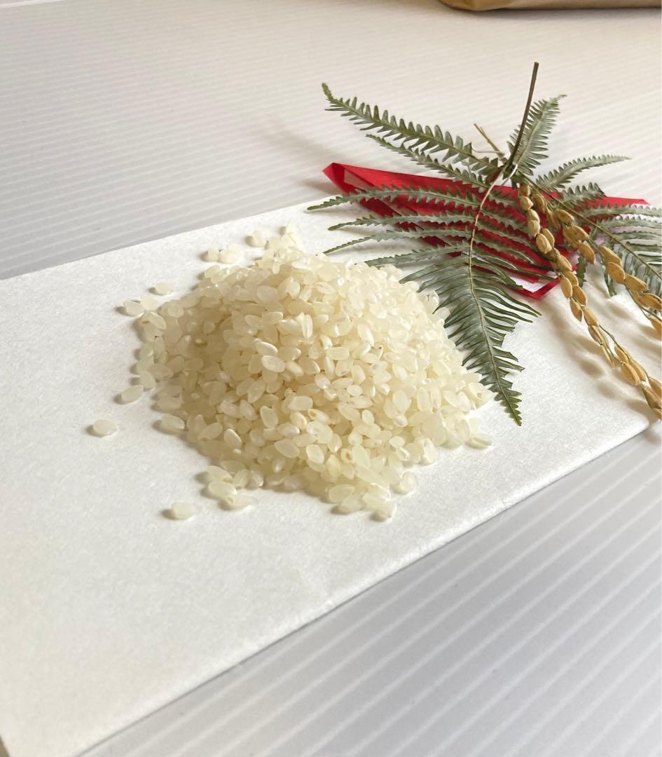 令和7年度三重県産コシヒカリ　7ぶつき米　10kg