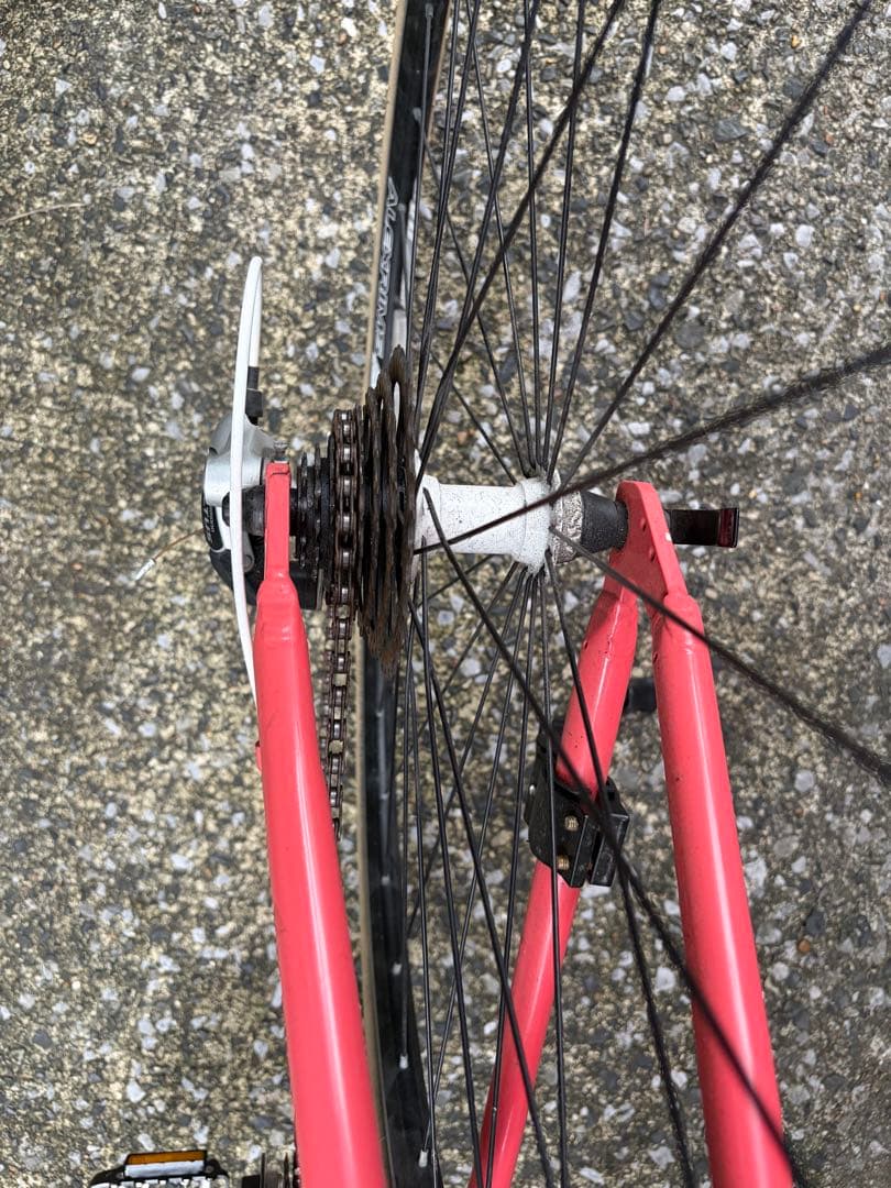 ルイガノ　シャッセ