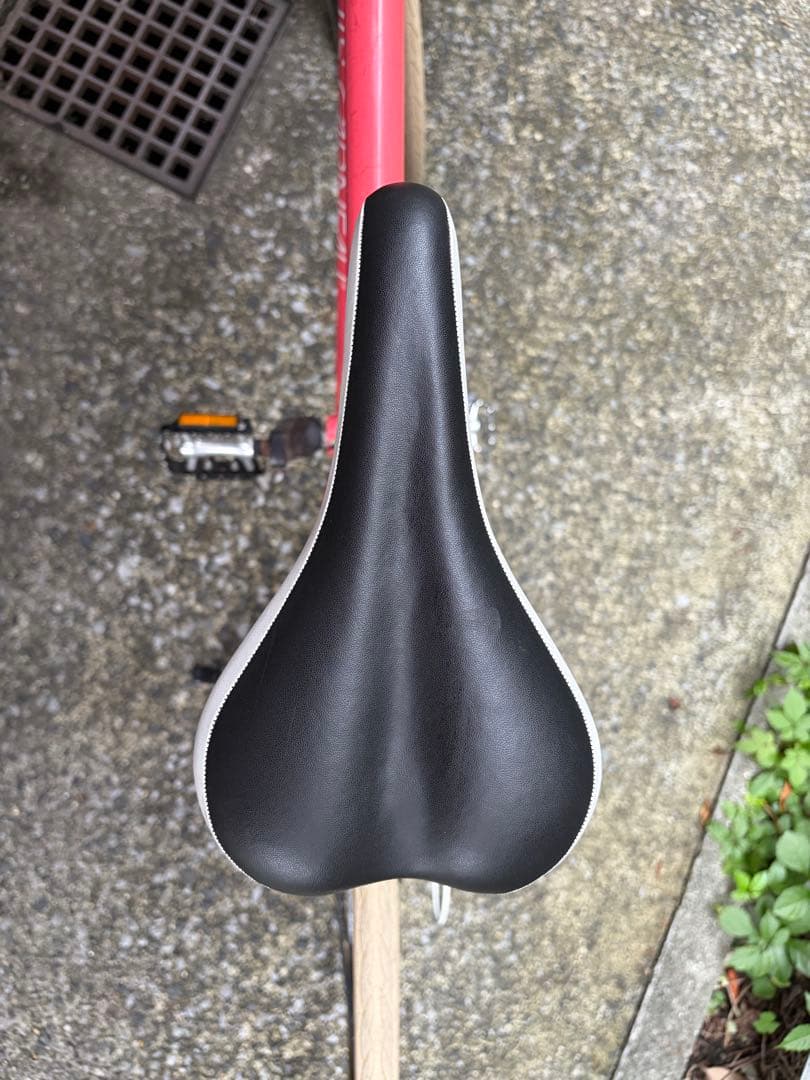 ルイガノ　シャッセ