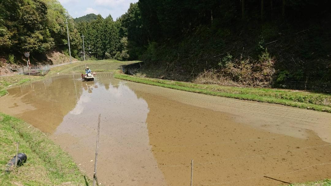 令和7年度 【湧き水栽培】農薬不使用玄米　ひのひかり 30㎏　奈良の農家直送