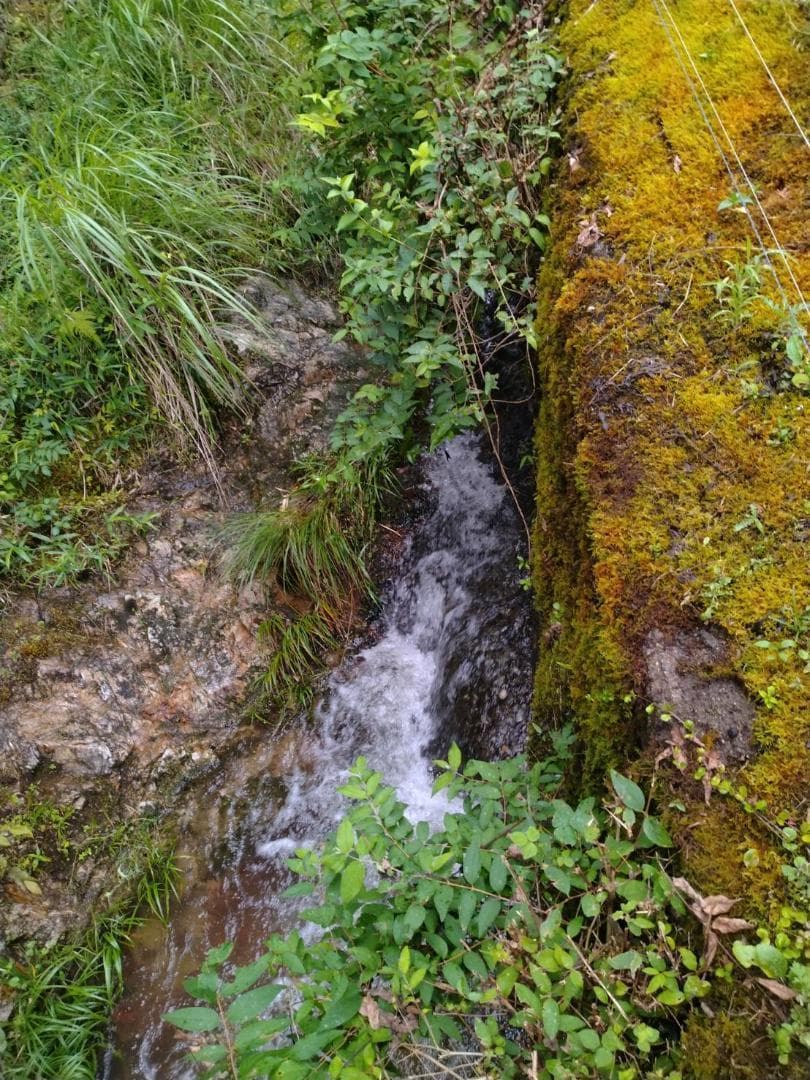 令和7年度 【湧き水栽培】農薬不使用玄米　ひのひかり 30㎏　奈良の農家直送