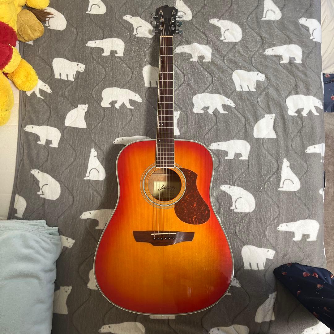 アコースティックギター 初心者セット