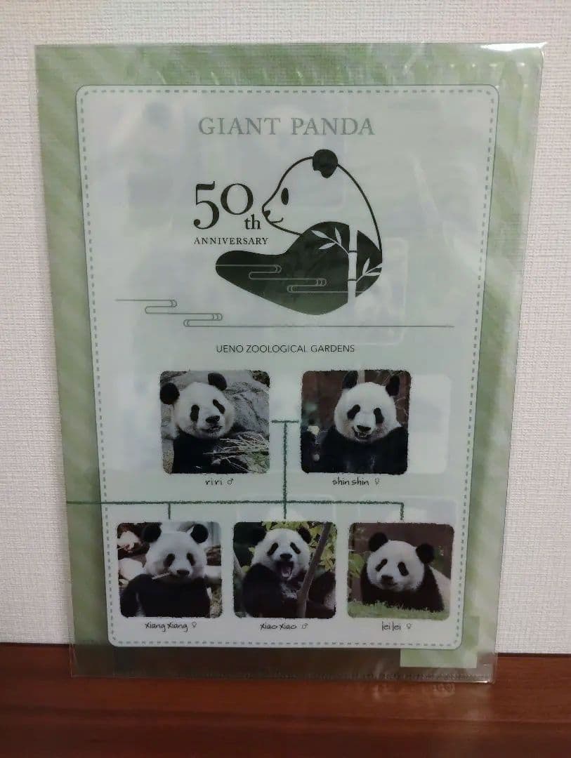 バンダ来日50周年記念 4点　リーリー シンシン シャンシャン シャオシャオ