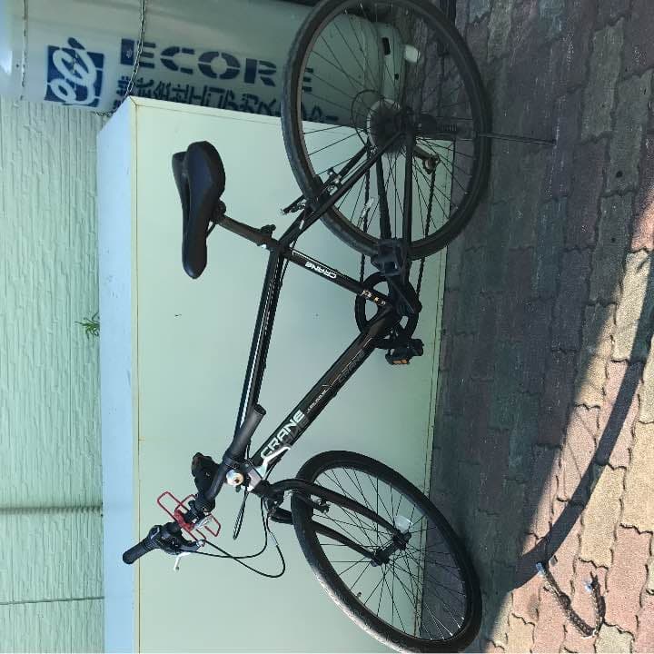 マウンテンバイク！