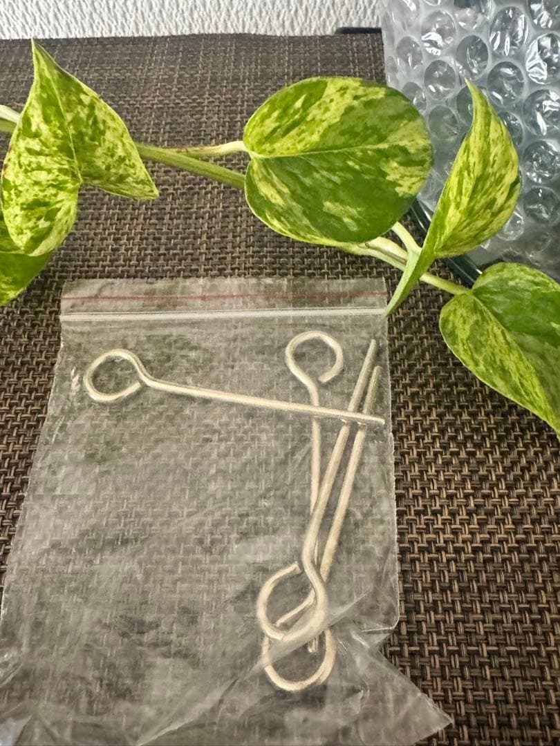 Dietzミレニアムランタン クッカーセット